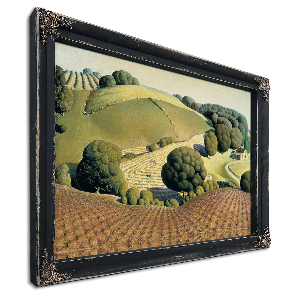 Young Corn 1931 By Grant Wood