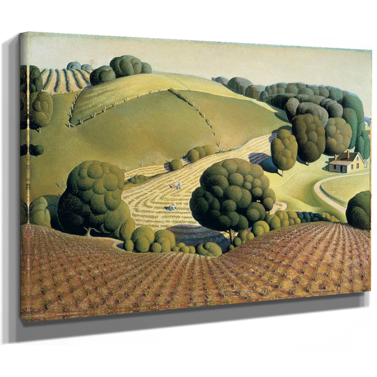 Young Corn 1931 By Grant Wood