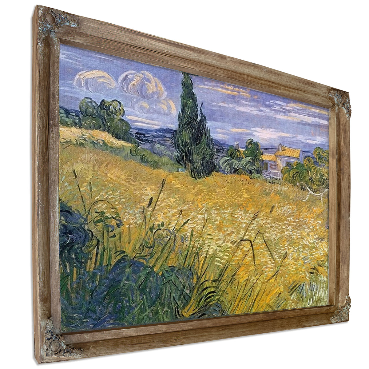 Green Wheat Field With Cypress By Vincent Van Gogh