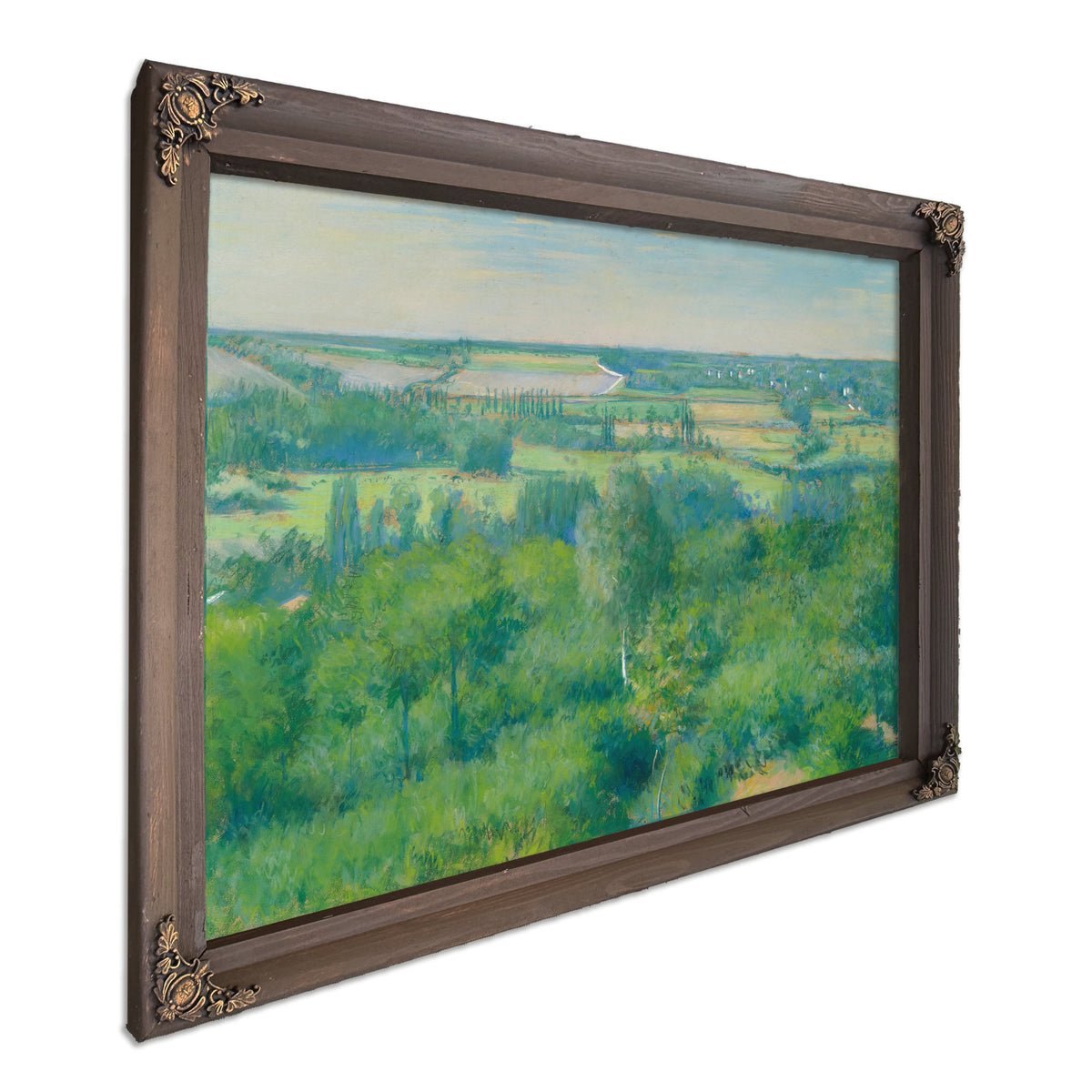 La Vallee de Lyerres 1877 02 By Gustave Caillebotte