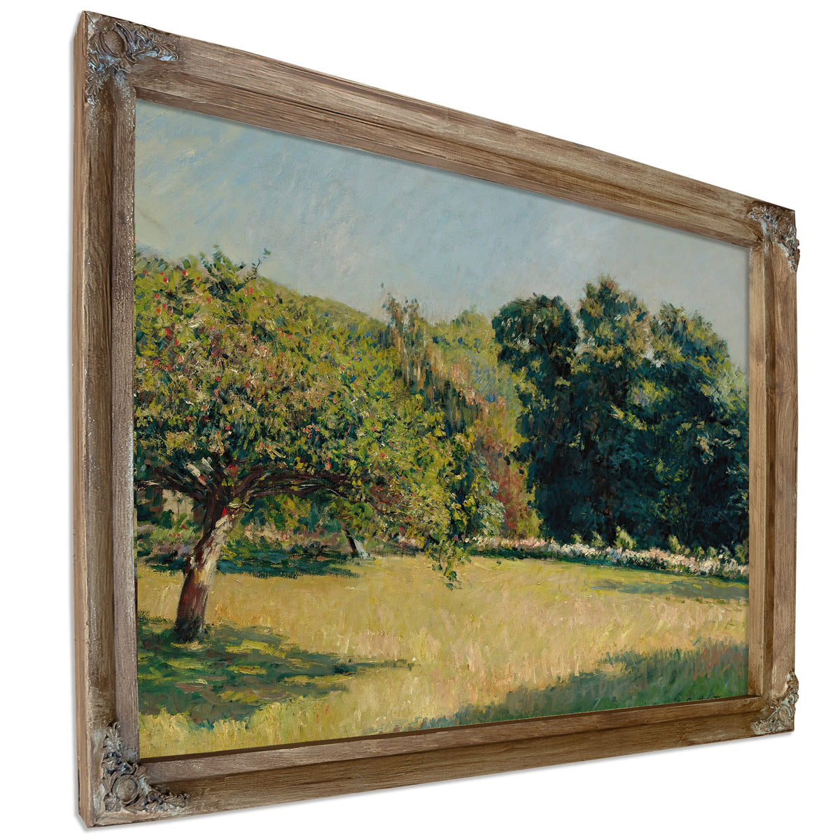 Un Jardin Trouville 1882 By Gustave Caillebotte