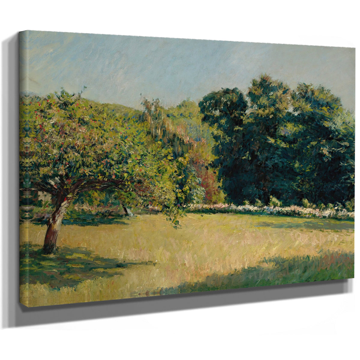 Un Jardin Trouville 1882 By Gustave Caillebotte
