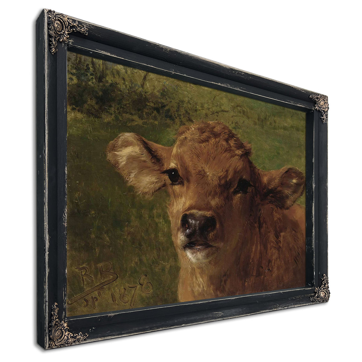Head Of A Calf by Rosa Bonheur