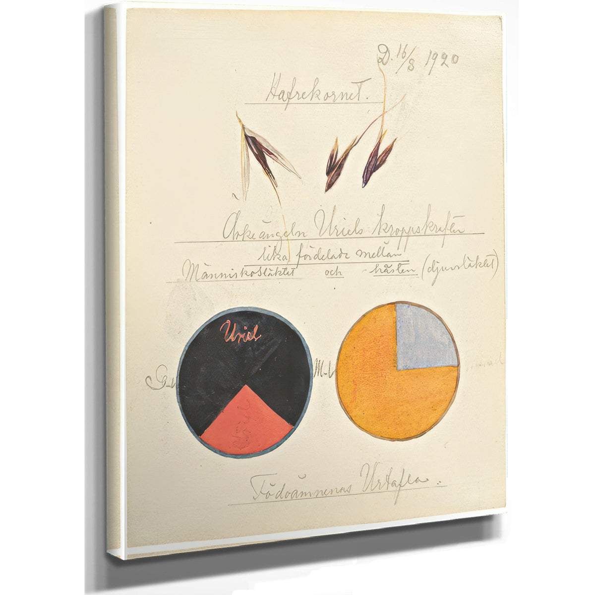Oats Work Cereals By Hilma Af Klint