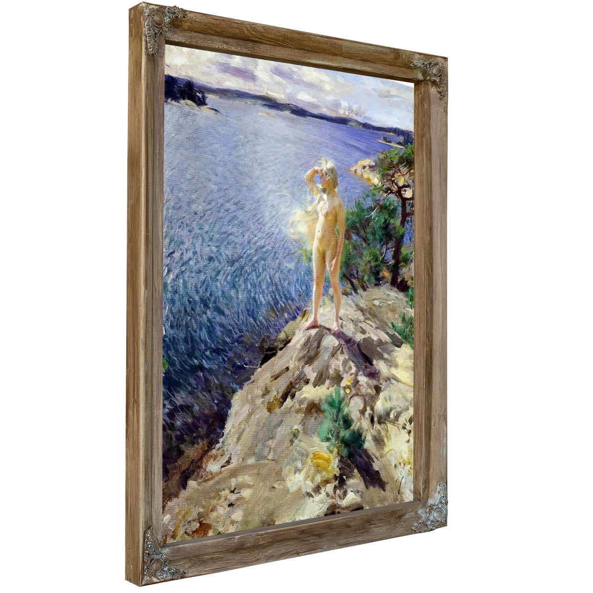 In The Skerries Painting Anders Zorn Canvas Art