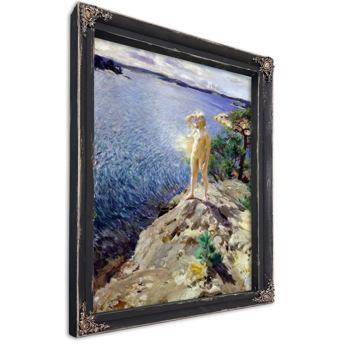 In The Skerries Painting Anders Zorn Canvas Art