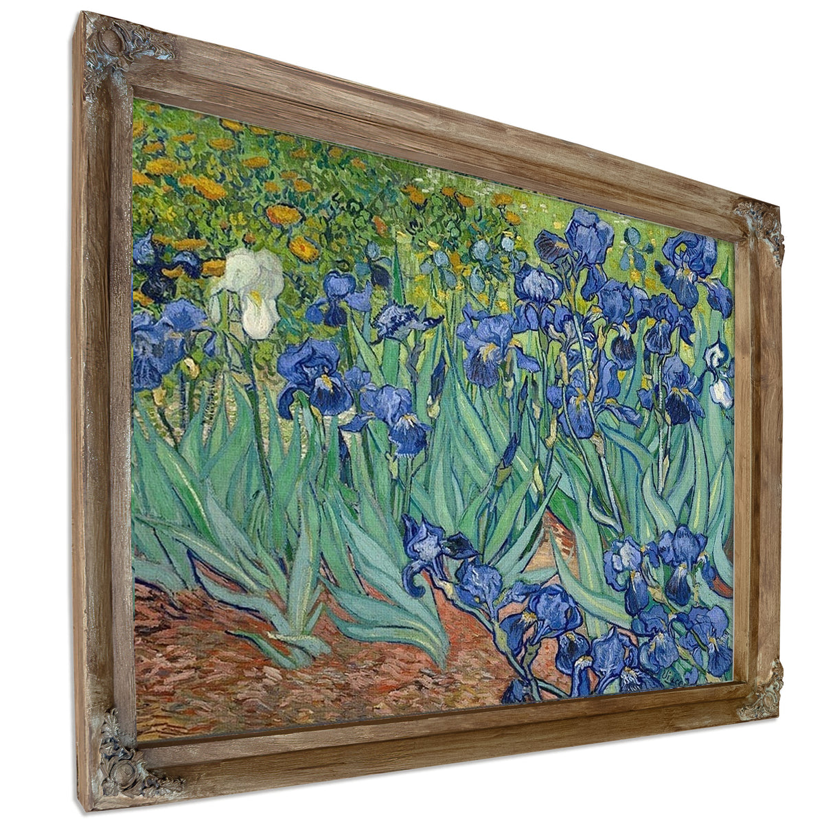 Irises By Vincent Van Gogh