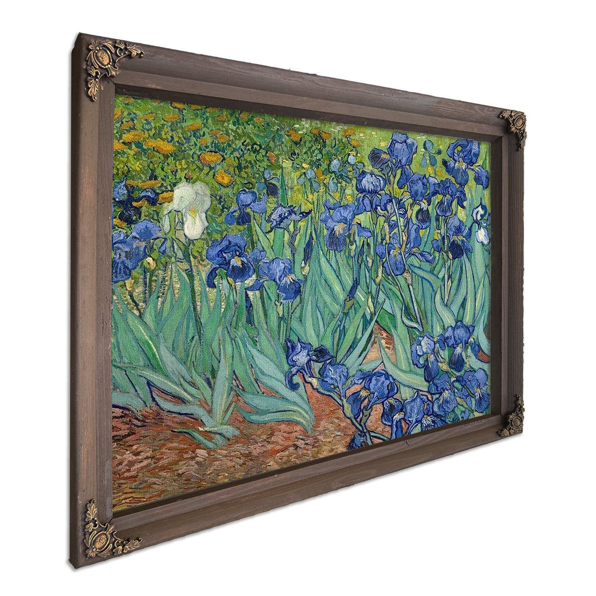 Irises By Vincent Van Gogh