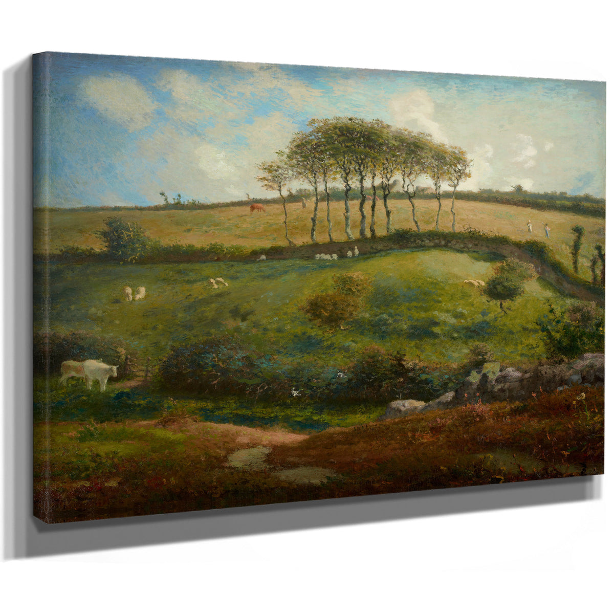Pasture Near Cherbourg Normandy 1871 By Jean Francois Millet