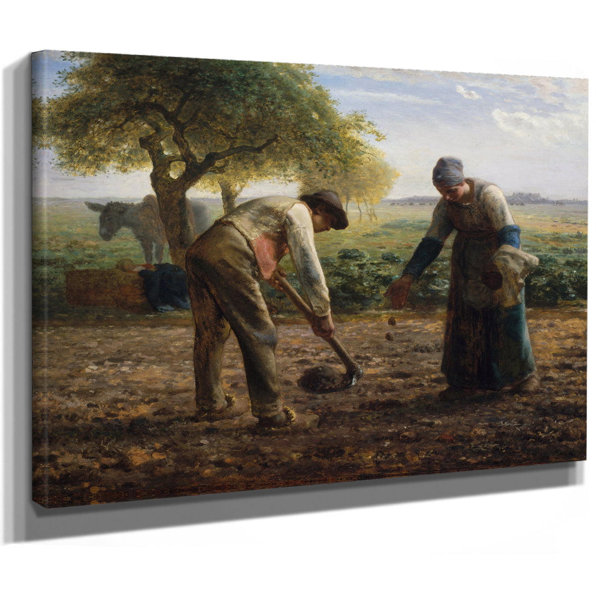 Potato Planters About 1861 By Jean Francois Millet