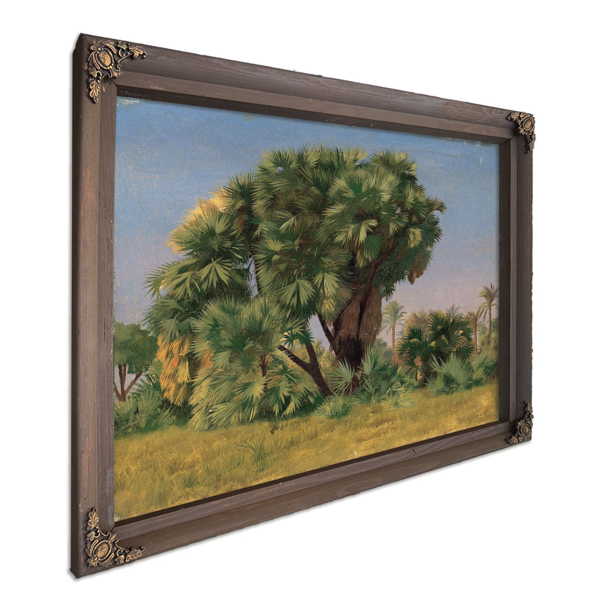 Study Palm Trees Probably 1868 By Jean Leon Gerome