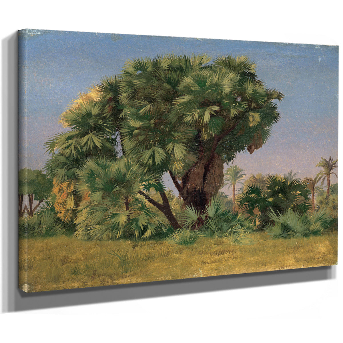 Study Palm Trees Probably 1868 By Jean Leon Gerome