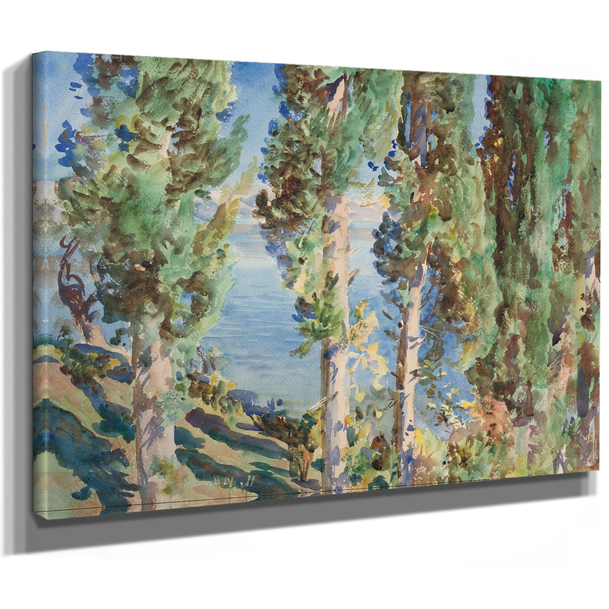 Corfu Cypresses 1909 By John Singer Sargent