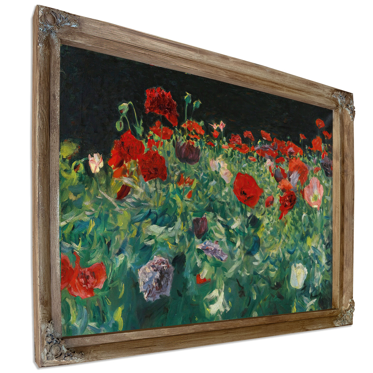 Poppies 1886 By John Singer Sargent