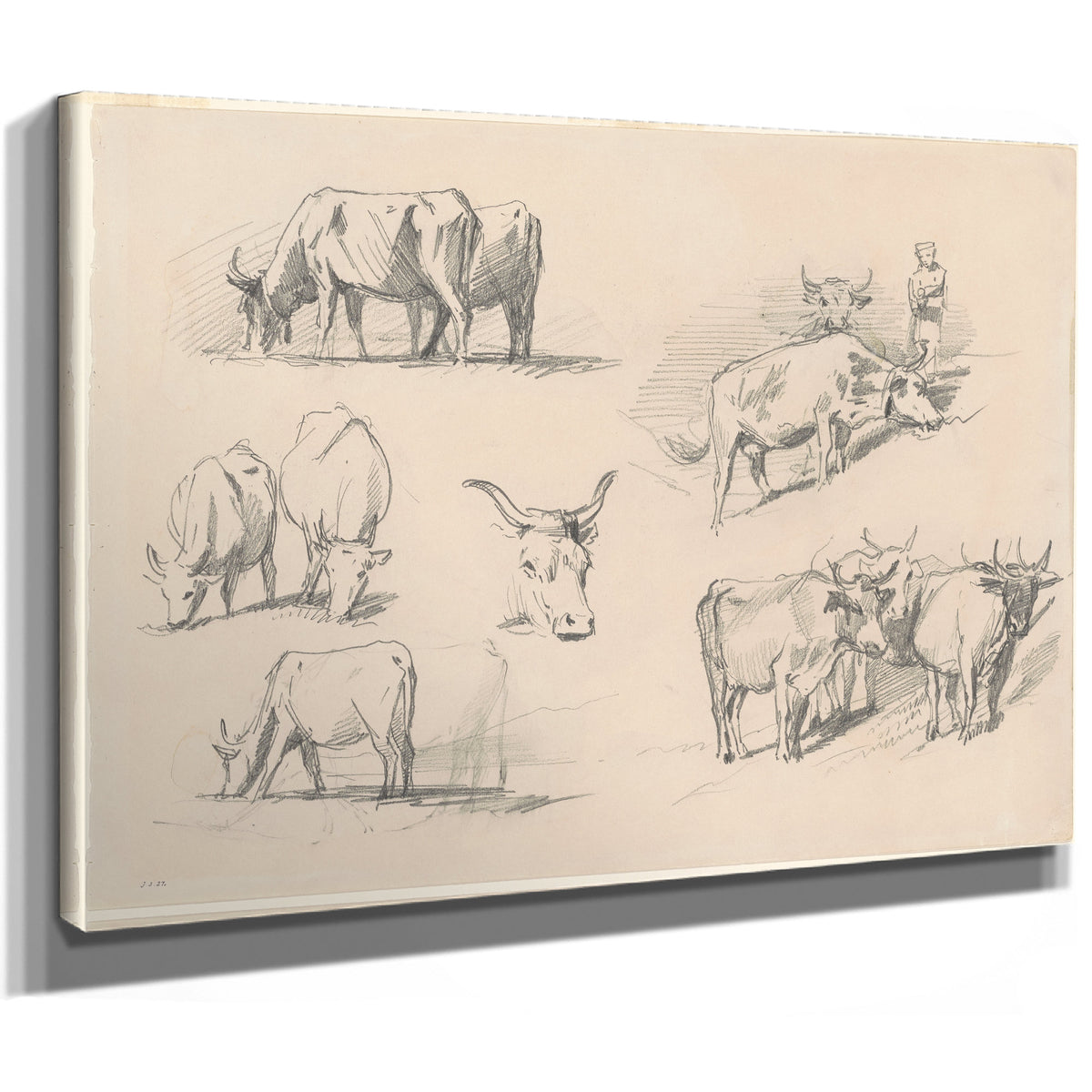 Studies Cattle C 1872 By John Singer Sargent