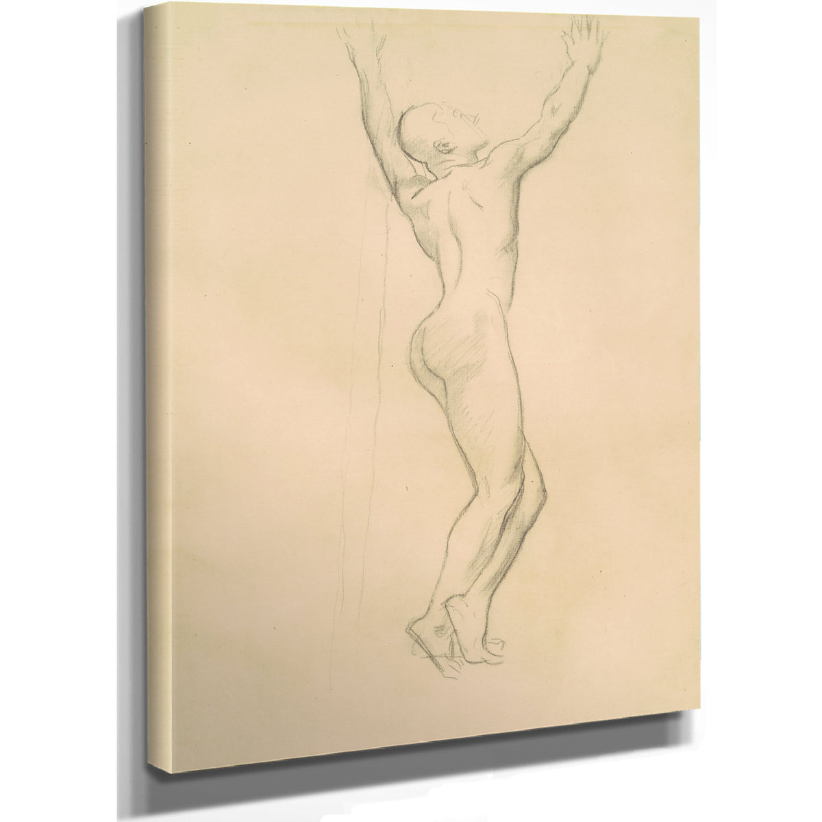 Study Apollo Daphne C 1918 By John Singer Sargent