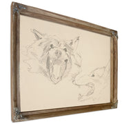 Two Views a Wolfs Head By John Singer Sargent