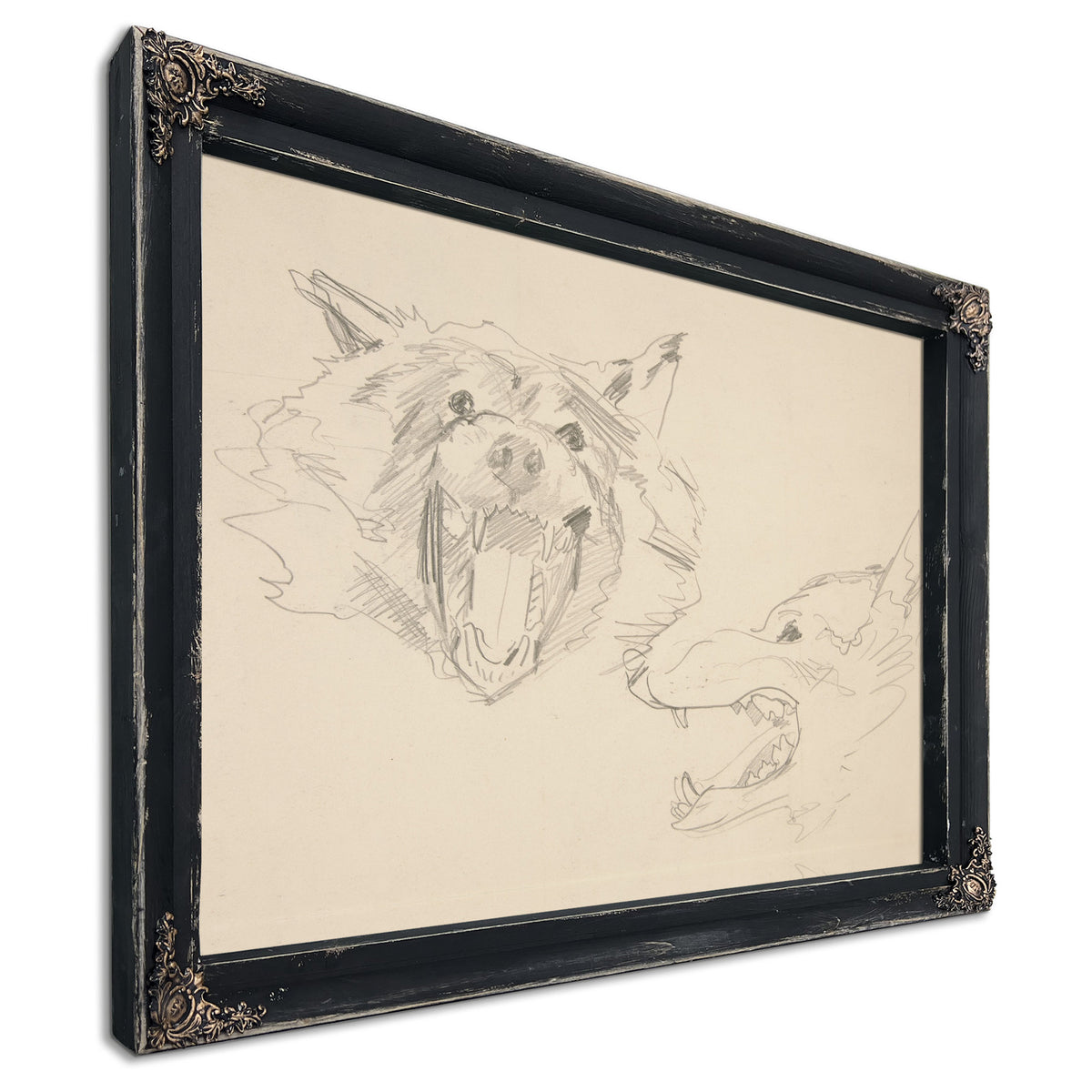 Two Views a Wolfs Head By John Singer Sargent