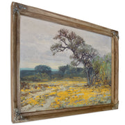 Coreopsis Near San Antonio Texas 1919 By Julian Onderdonk