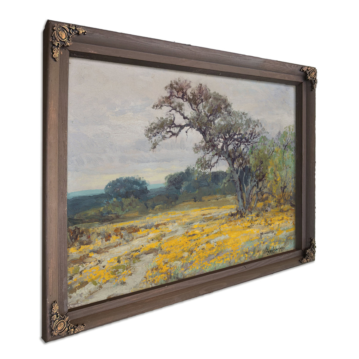 Coreopsis Near San Antonio Texas 1919 By Julian Onderdonk