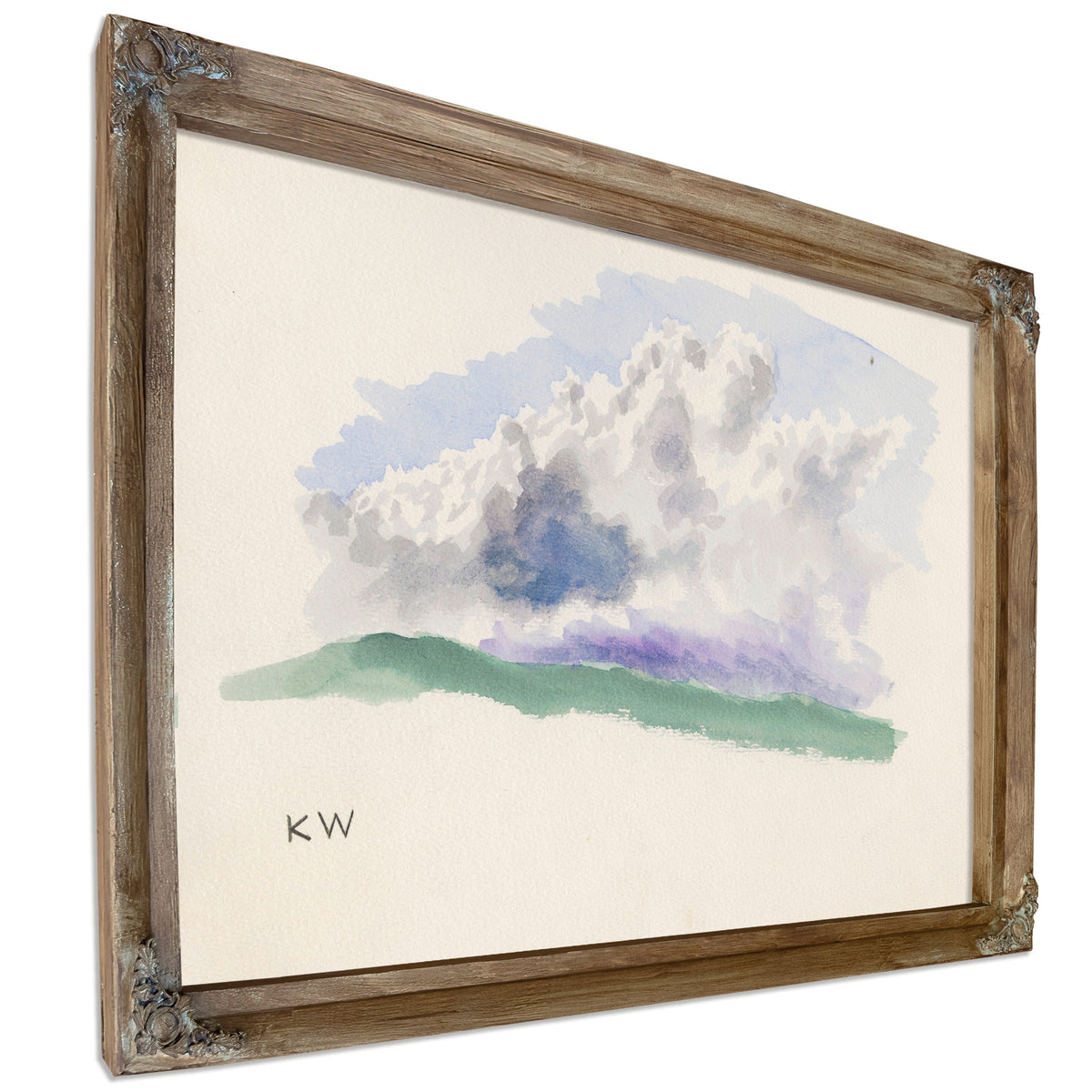Naturstudie Vi 1924 By Karl Wiener