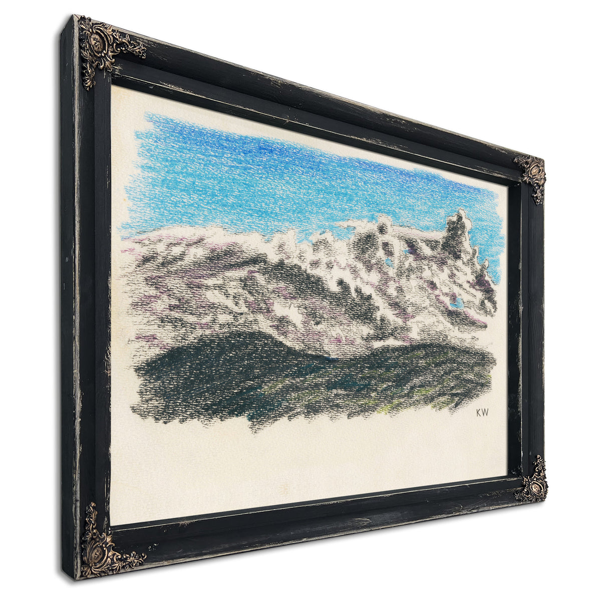 Naturstudie Xxi 1924 By Karl Wiener