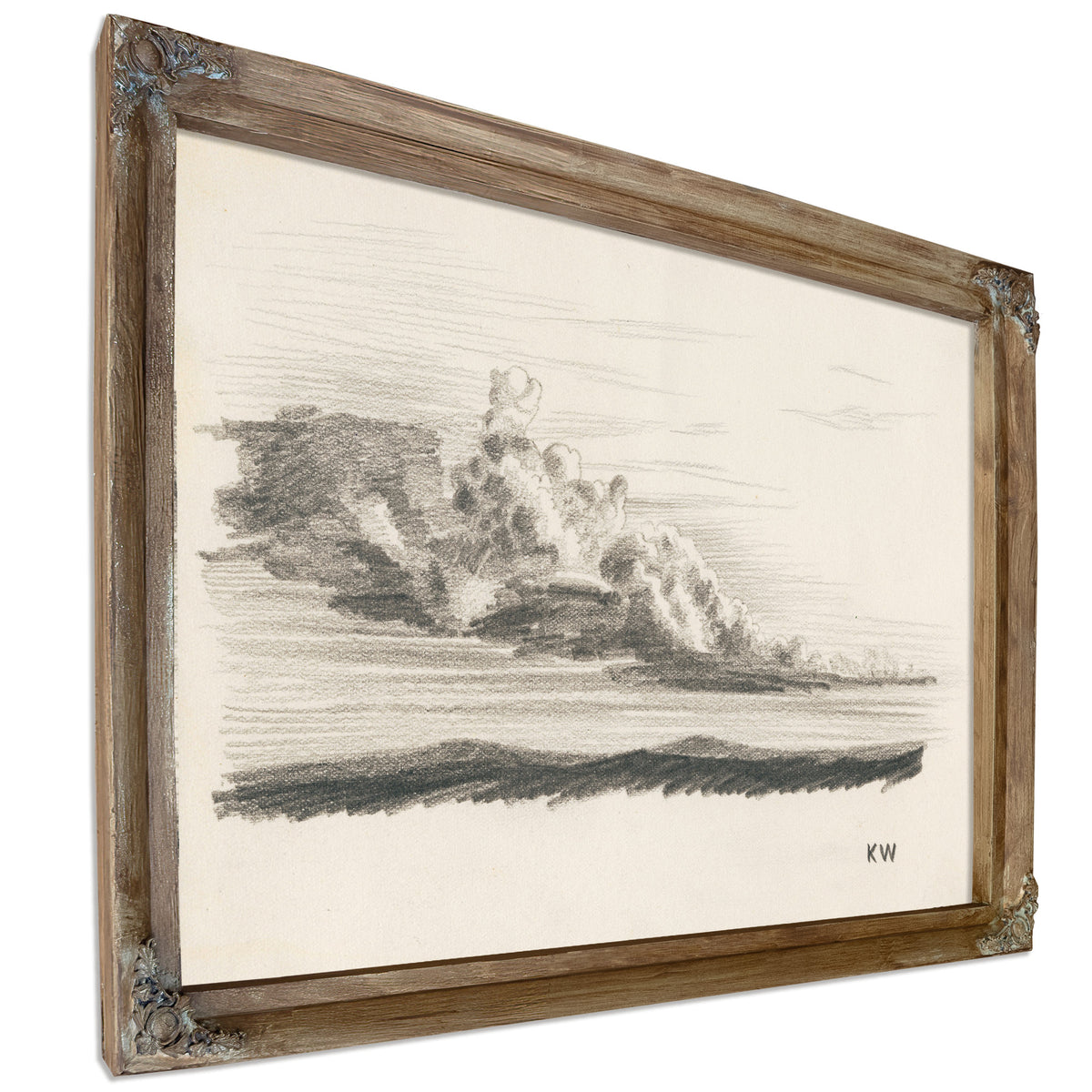 Naturstudie Xxiv 1924 By Karl Wiener