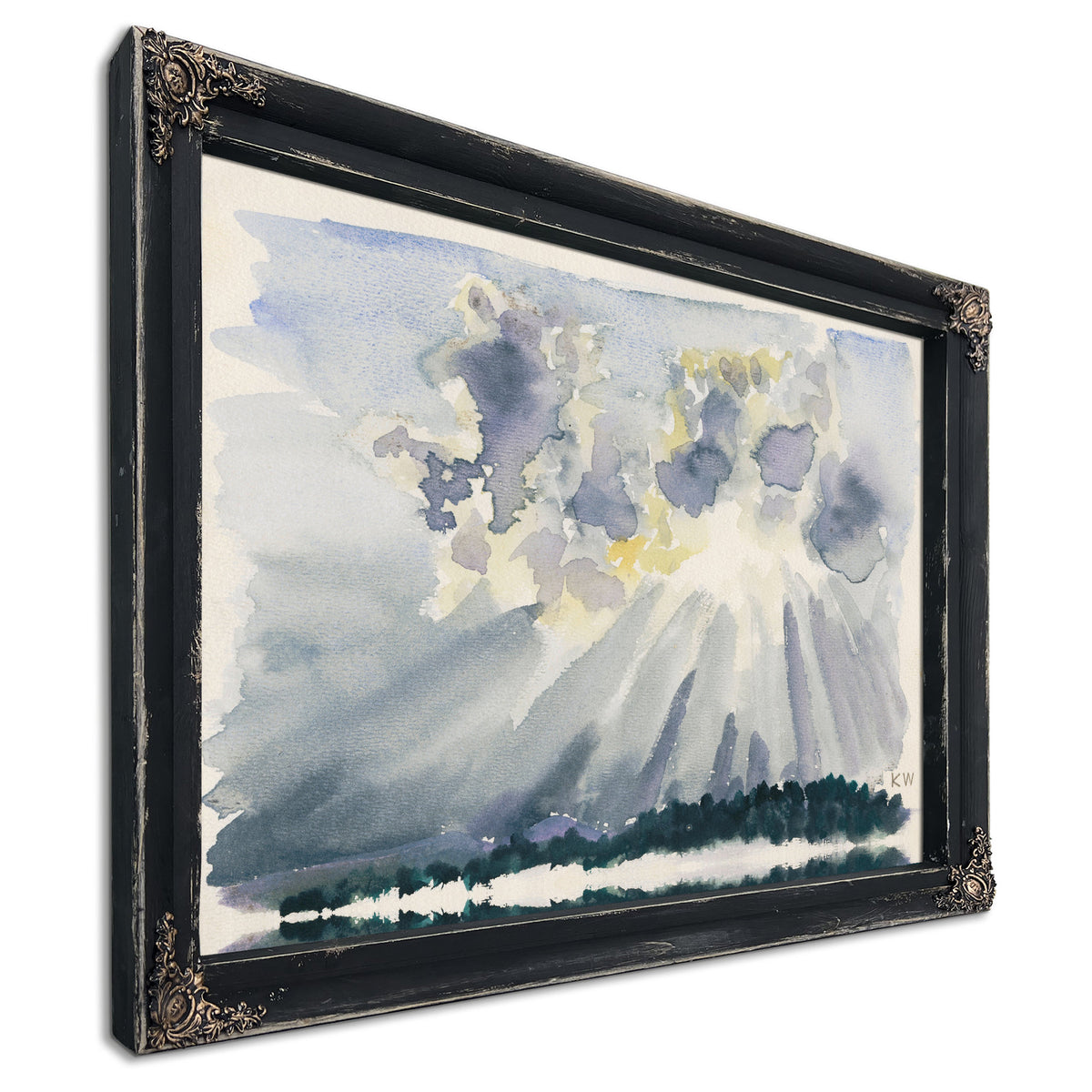 Naturstudie Xxvi 1924 By Karl Wiener