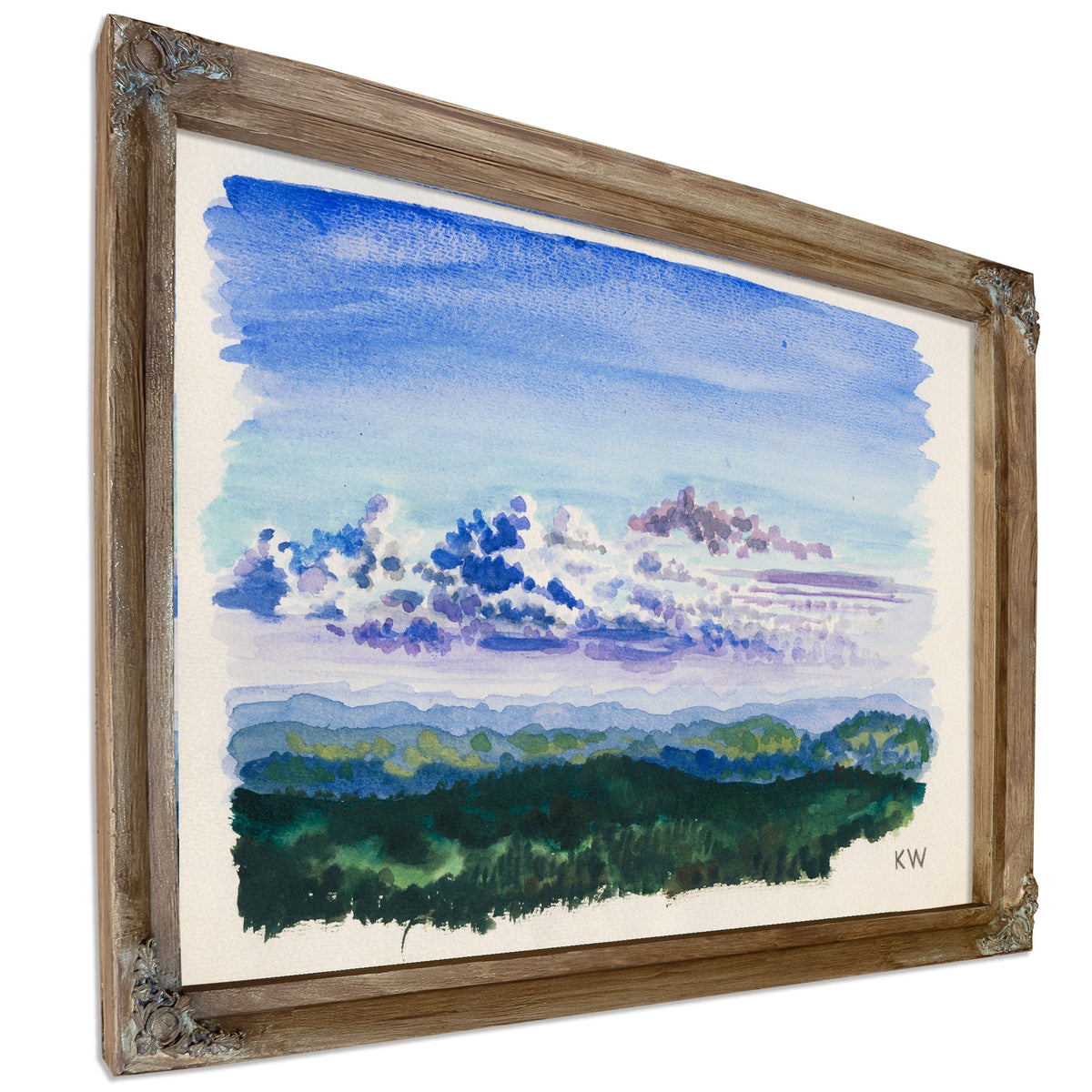 Naturstudie Xxvii 1924 By Karl Wiener