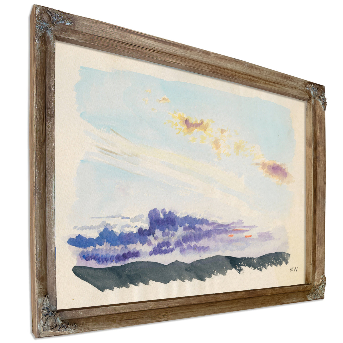 Naturstudie Xxxv 1924 By Karl Wiener