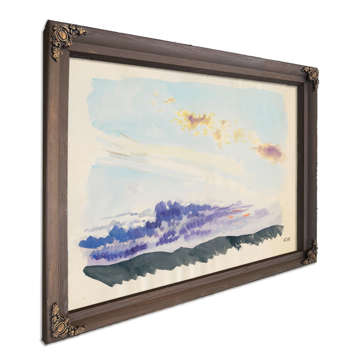 Naturstudie Xxxv 1924 By Karl Wiener