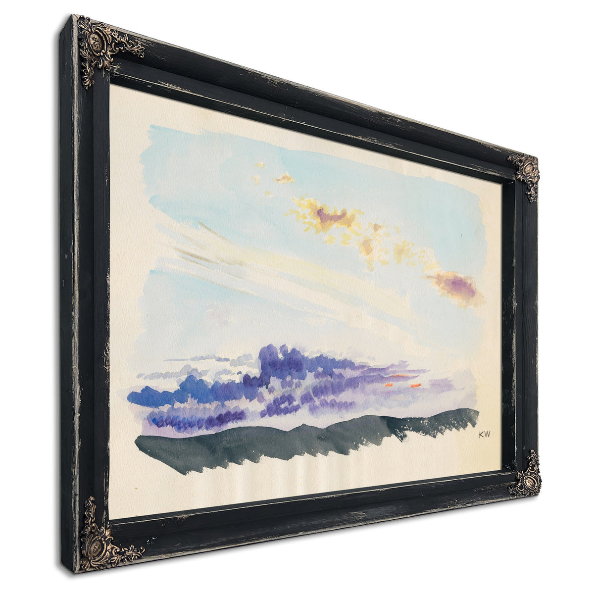 Naturstudie Xxxv 1924 By Karl Wiener