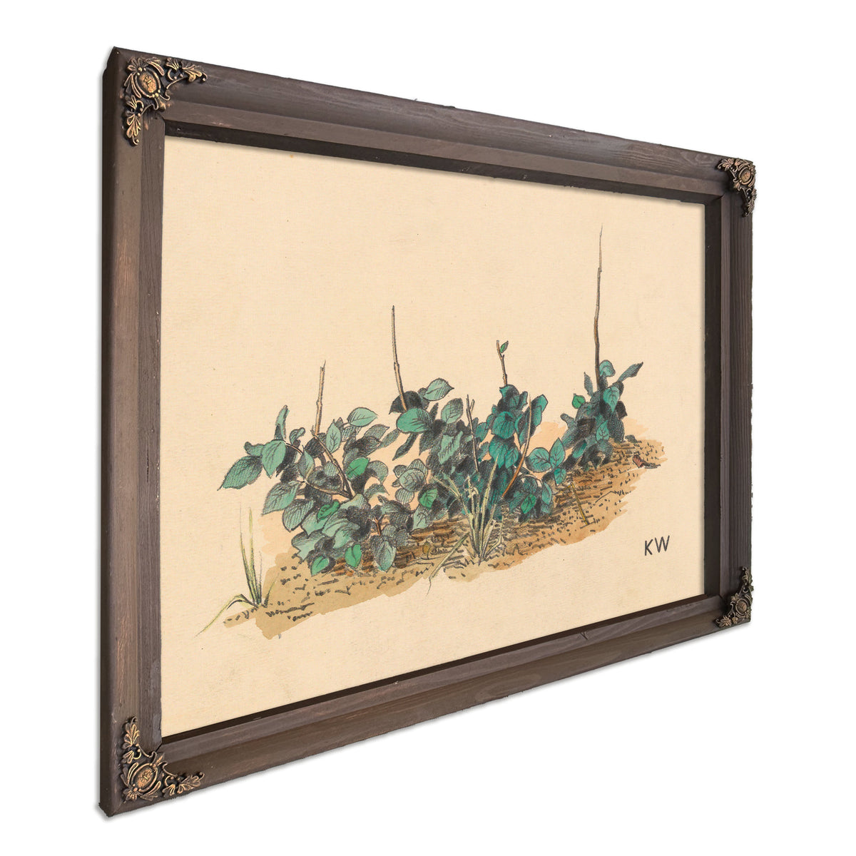 Ohne Titel Grunpflanzen Around 1924 By Karl Wiener