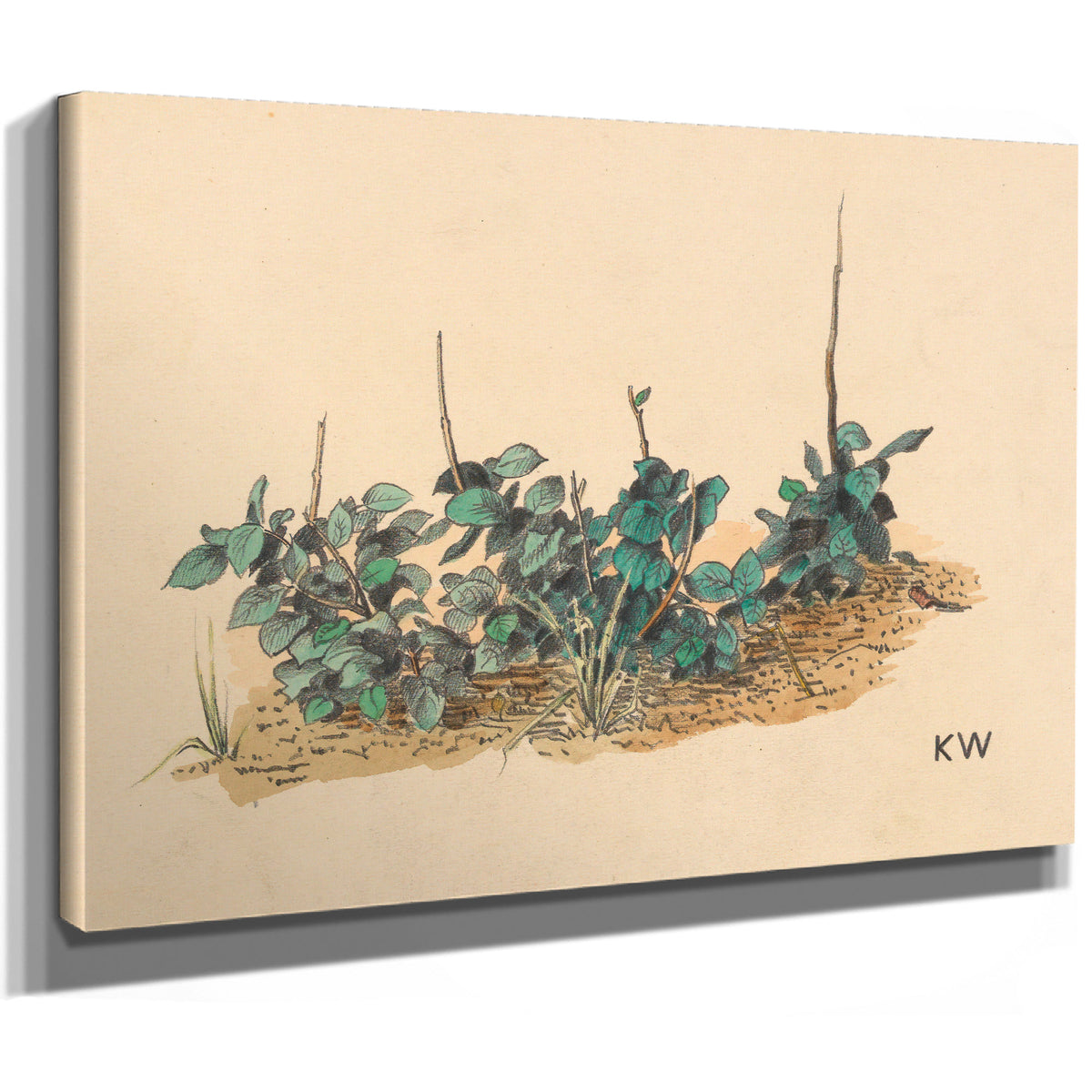 Ohne Titel Grunpflanzen Around 1924 By Karl Wiener