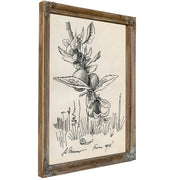 Untitled Zweig von Einem Obstbaum By Karl Wiener