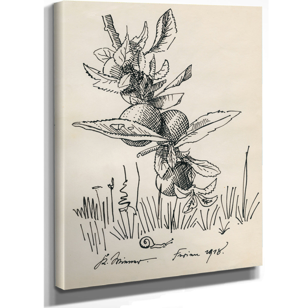 Untitled Zweig von Einem Obstbaum By Karl Wiener