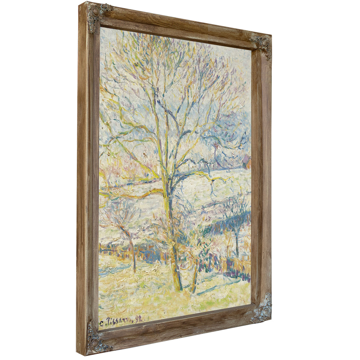 Le Grand Noyer Gelee Blanche Eragny by Camille Pissarro