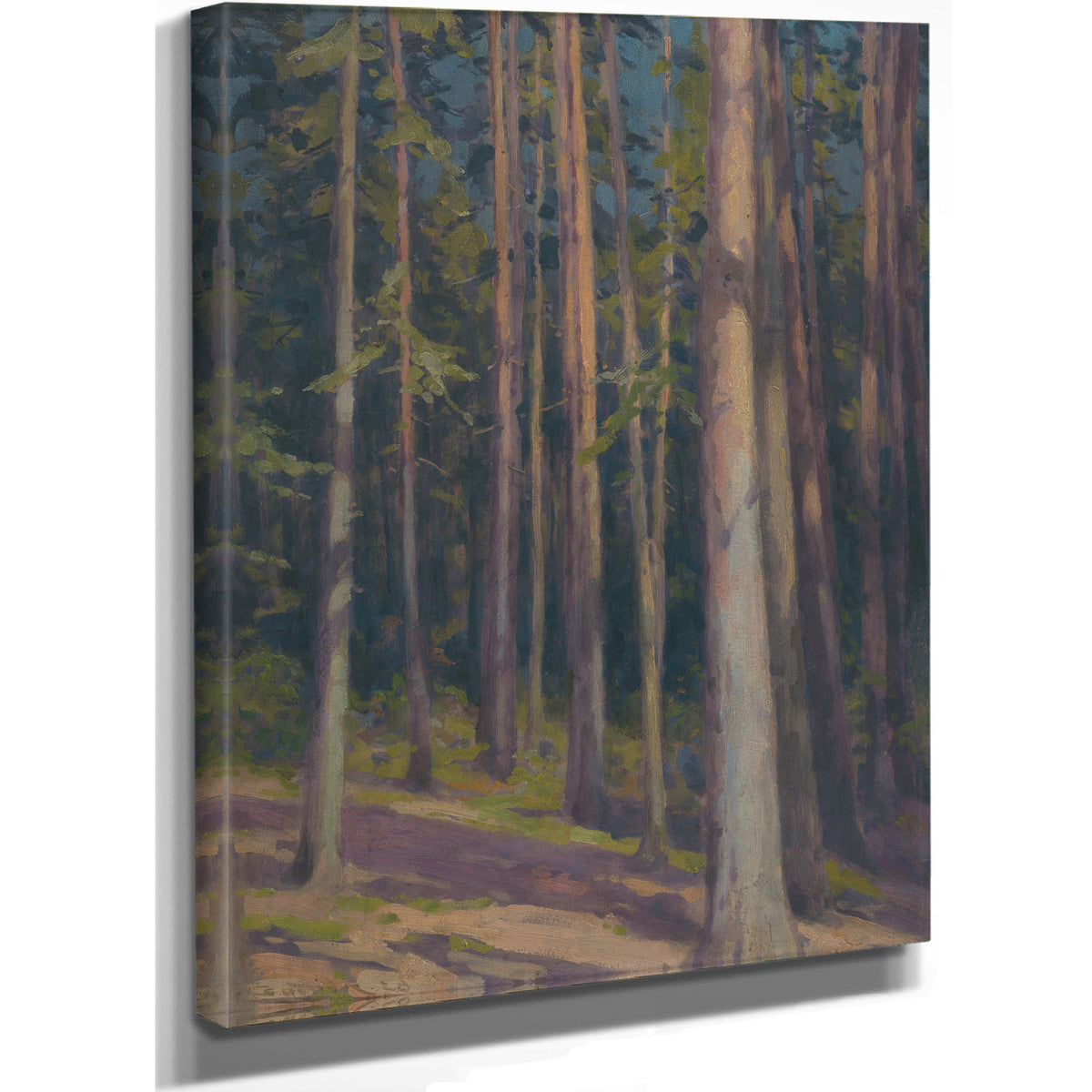 Fir Forest By Ludovit Cordak