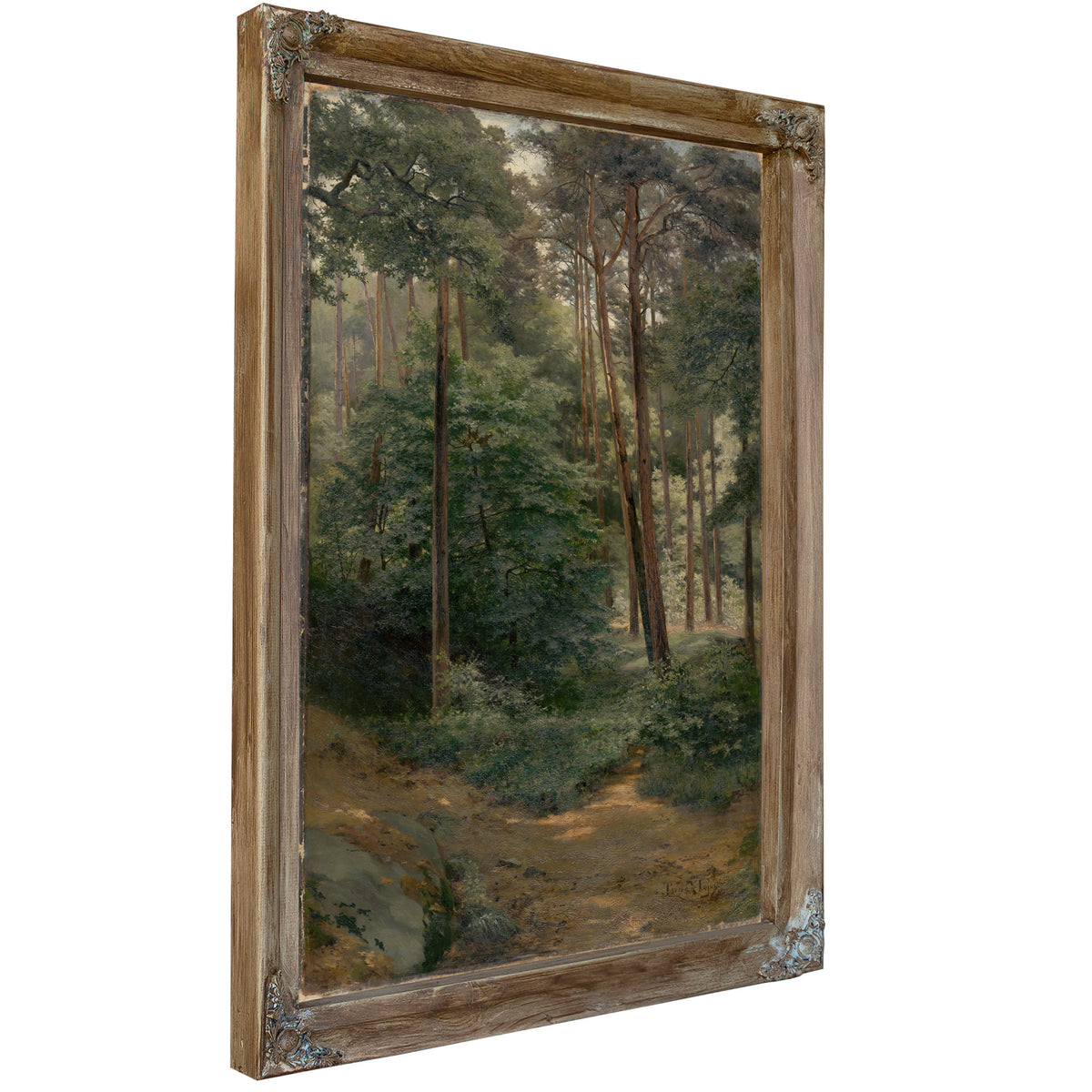Forest 1 02 By Ludovit Cordak