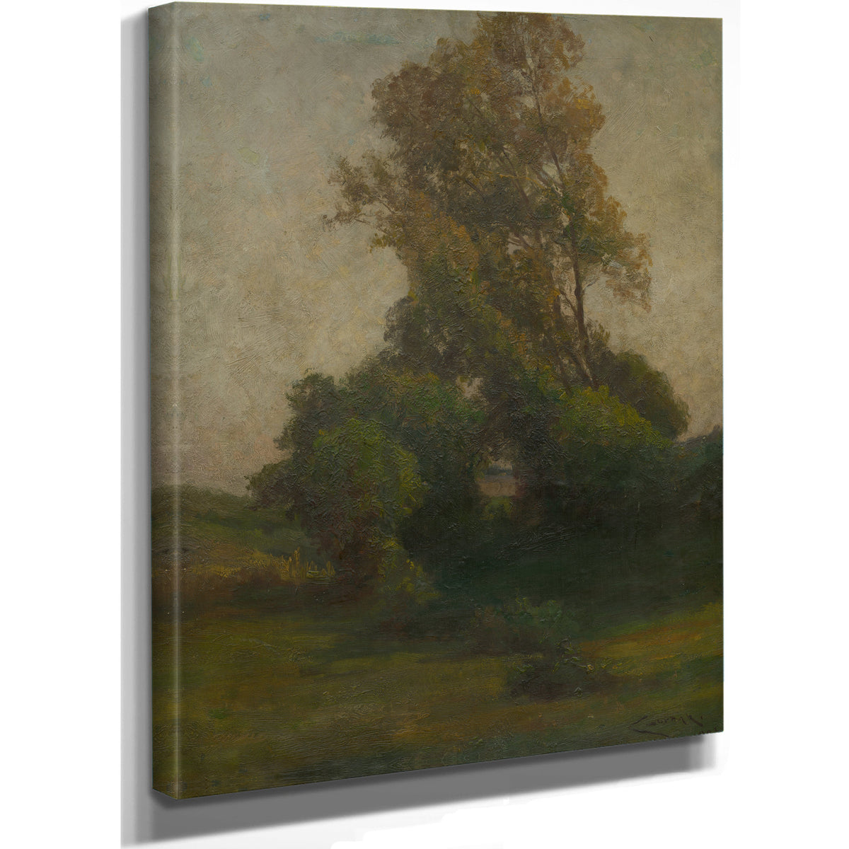 Tree the Countryside By Ludovit Cordak