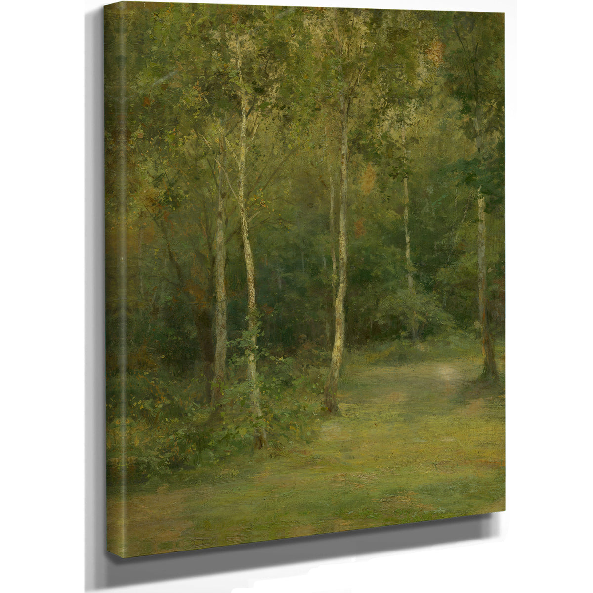 Wooded Landscape Little Birches 1 By Ludovit Cordak