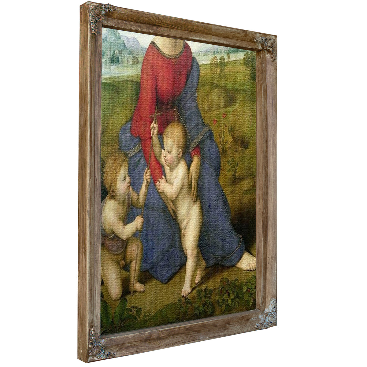 Madonna In The Meadow By Raphael