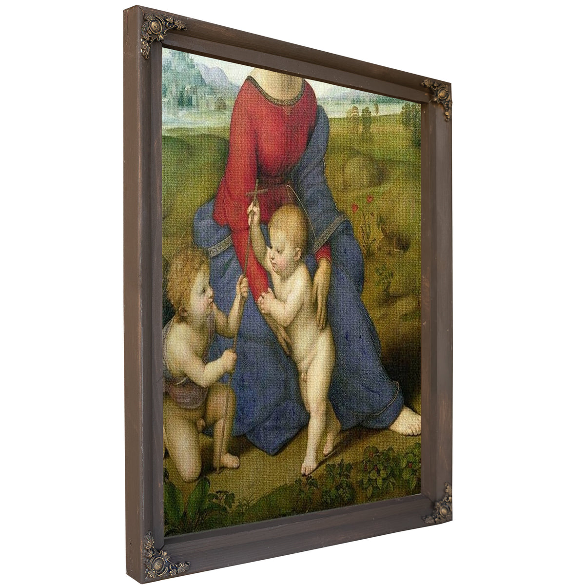 Madonna In The Meadow By Raphael