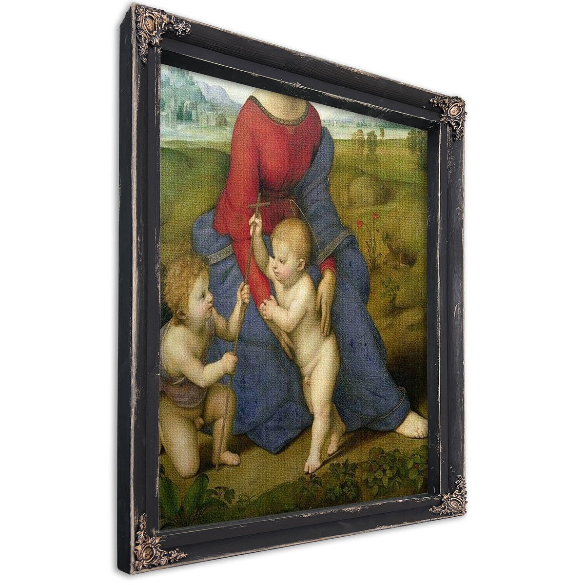 Madonna In The Meadow By Raphael