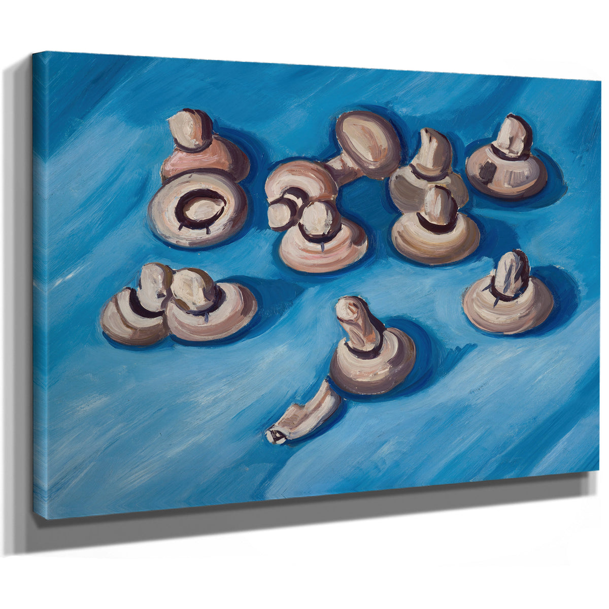 Mushrooms a Blue Background 1926 By Marsden Hartley