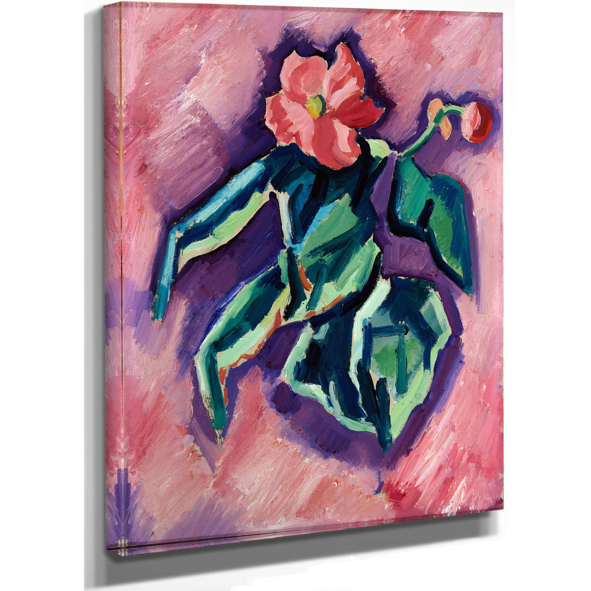 Pink Begonias 1928 1929 By Marsden Hartley