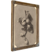 A Sprig Plums By Michael Harnett