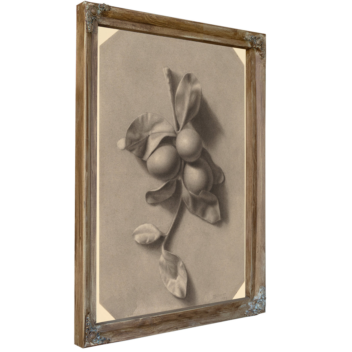 A Sprig Plums By Michael Harnett