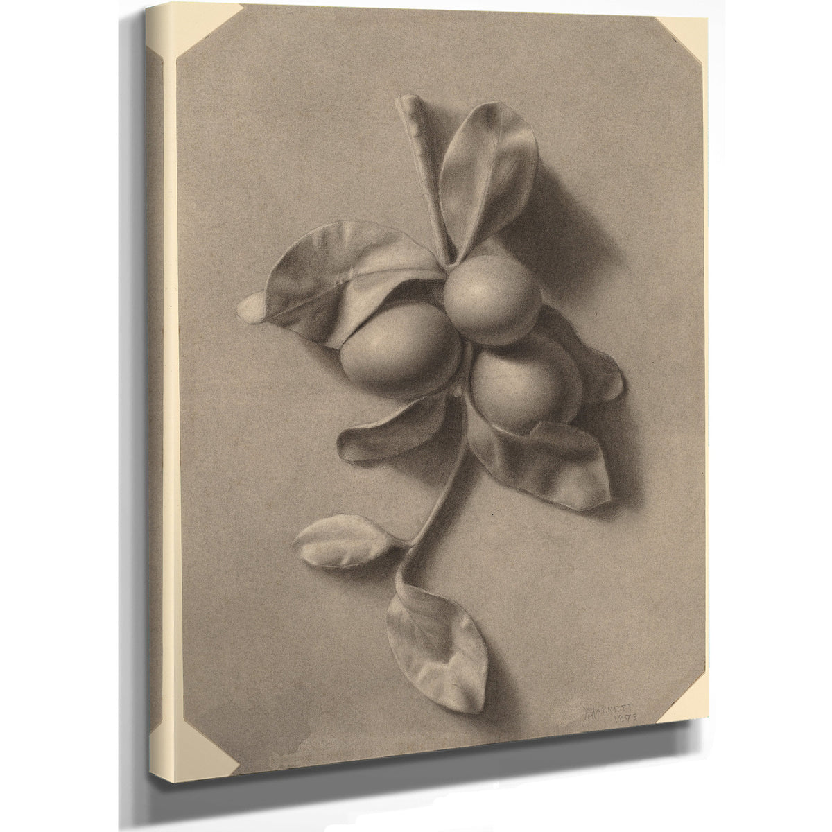 A Sprig Plums By Michael Harnett