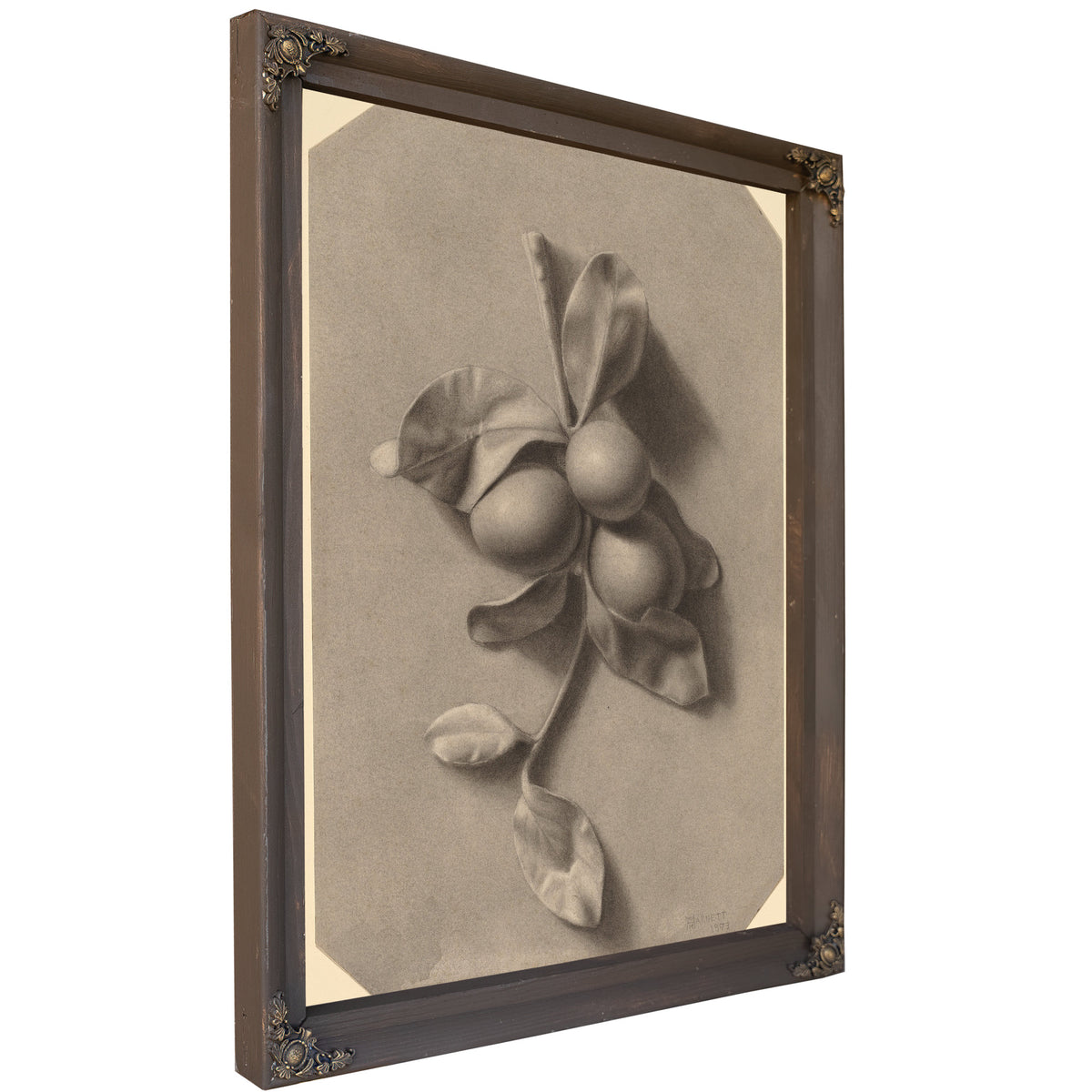 A Sprig Plums By Michael Harnett